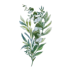Eucalyptus