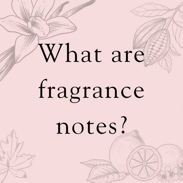 
  
    Fragrance Notes
  
