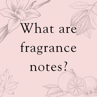 Fragrance Notes