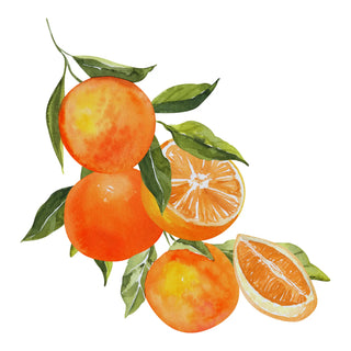 The Refreshing Mandarin Scent