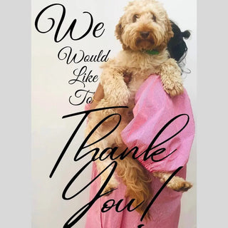 National Dog Day and Ollie