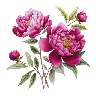 What Does Peonies Smell Like?