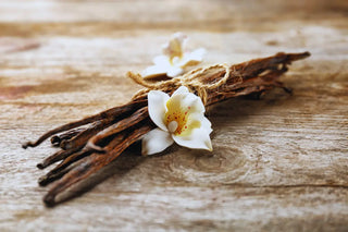 What Does Vanilla Smell Like?