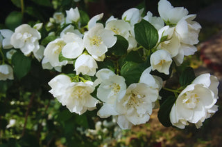 Spring Cleaning: A Full Sensory Checklist