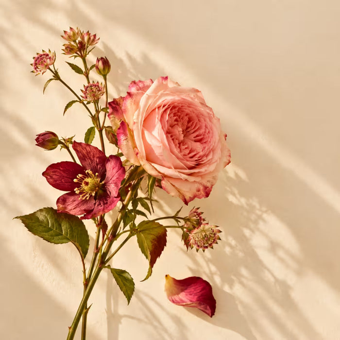 
  
    Floral perfumes with pink rose and delicate seasonal flowers in warm natural light
  
