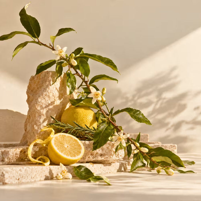 
  
    Fresh perfumes with lemon, citrus blossom, green leaves and aromatic herbs
  
